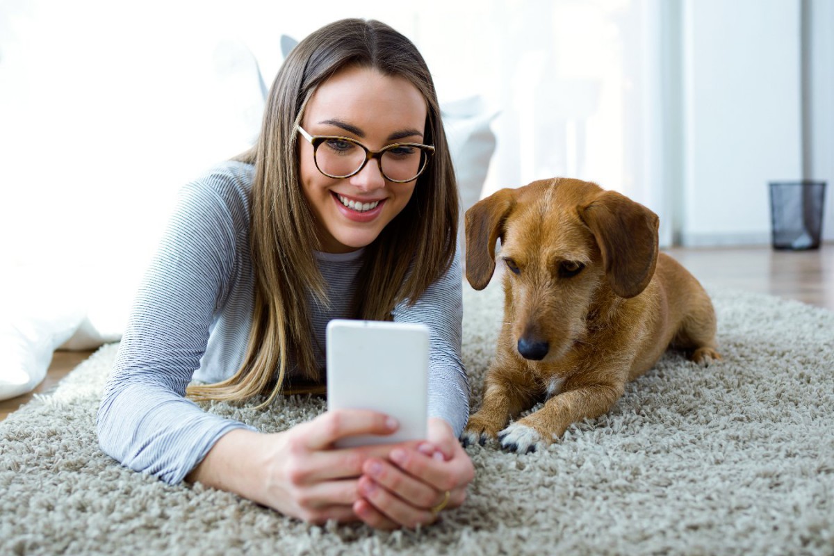 犬に癒し効果があるのはなぜ？写真や動画でも癒されるって本当？
