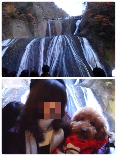 愛犬と日本の名所「袋田の滝」へ行こう！交通アクセス・混雑レポート