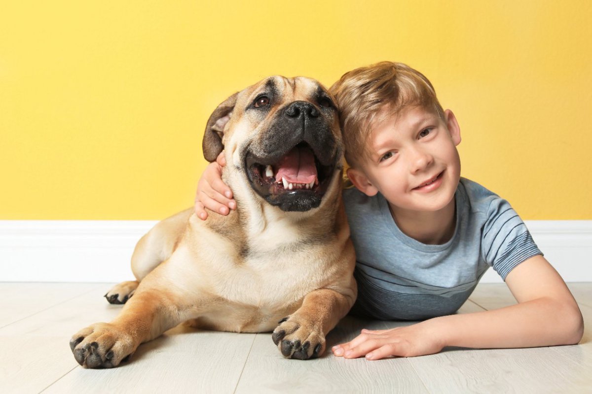 児童の音読に犬が立ち会うことの効果を心理生理学的に検証した結果とは？