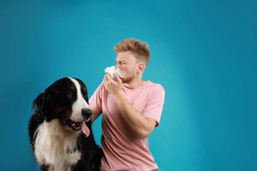 『犬アレルギー』の主な症状6選！犬アレルギーの飼い主もいるって本当？