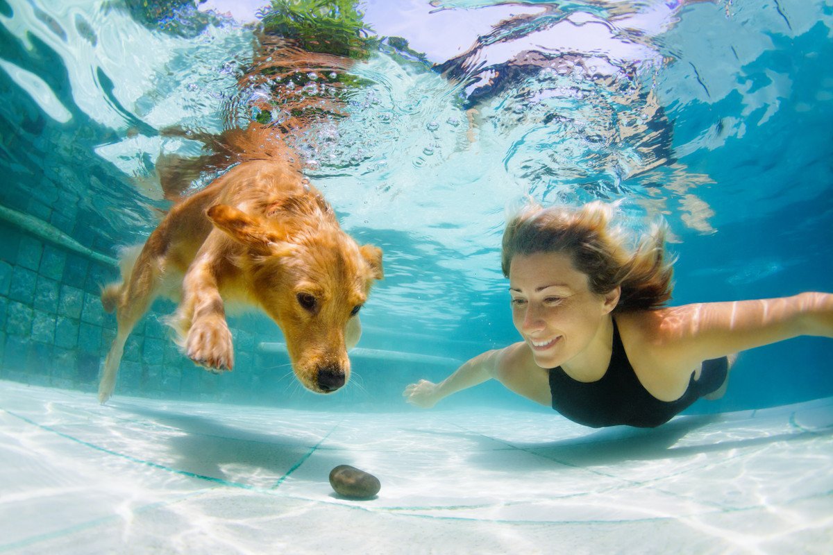 愛犬と水遊びを楽しみたい！自宅での水遊びで注意すべきポイント6つ