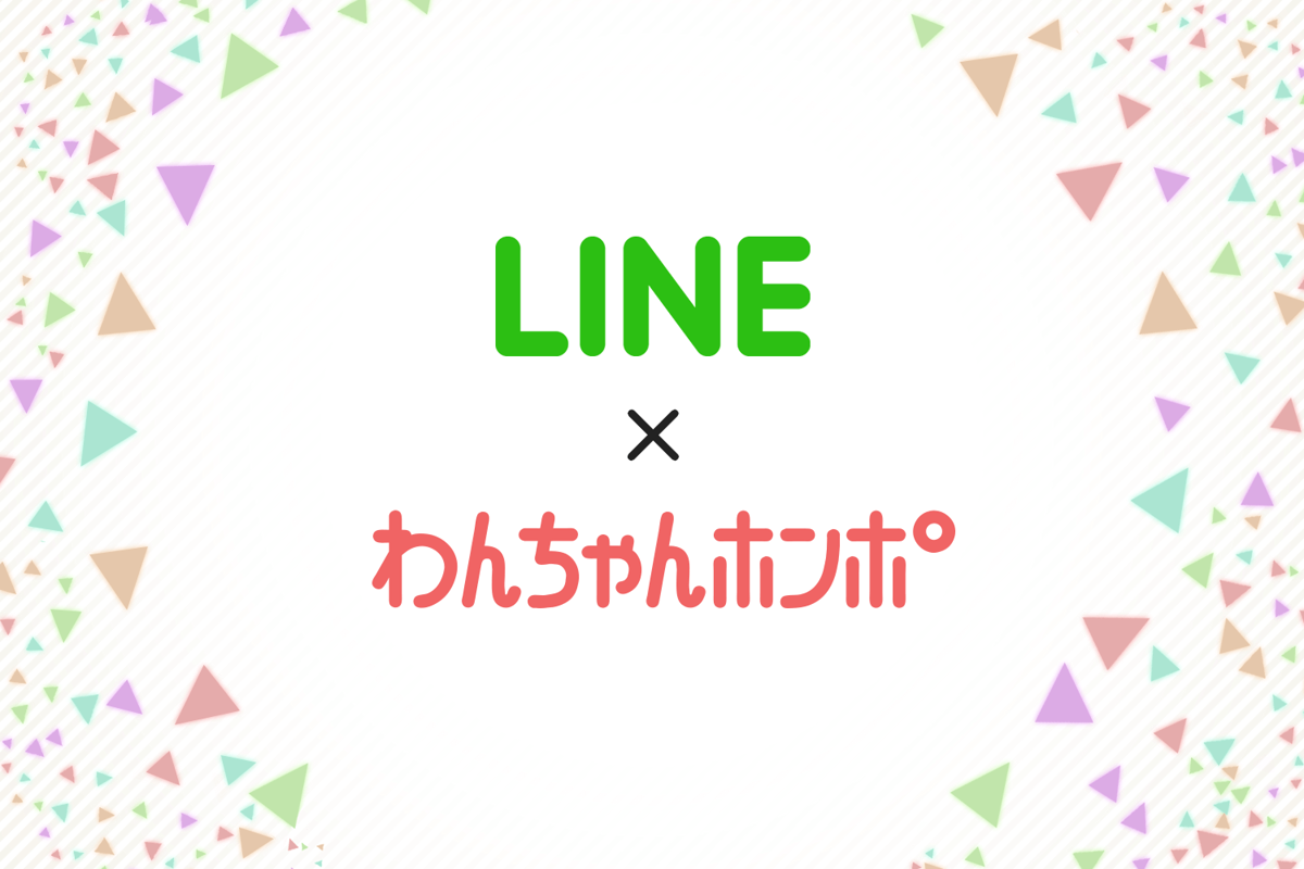 【公式】わんちゃんホンポのLINE公式アカウントがオープンしました！【友達登録】