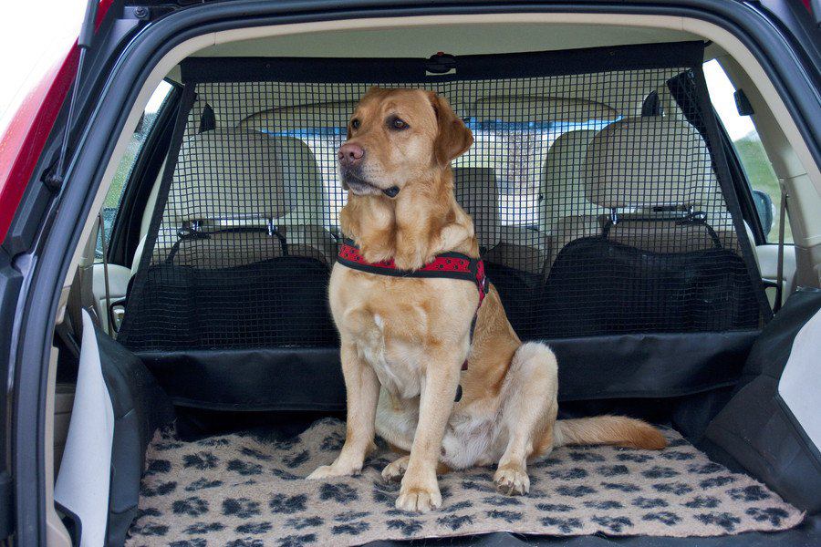 犬用の車シート（カーシート）の人気おすすめランキングTOP7
