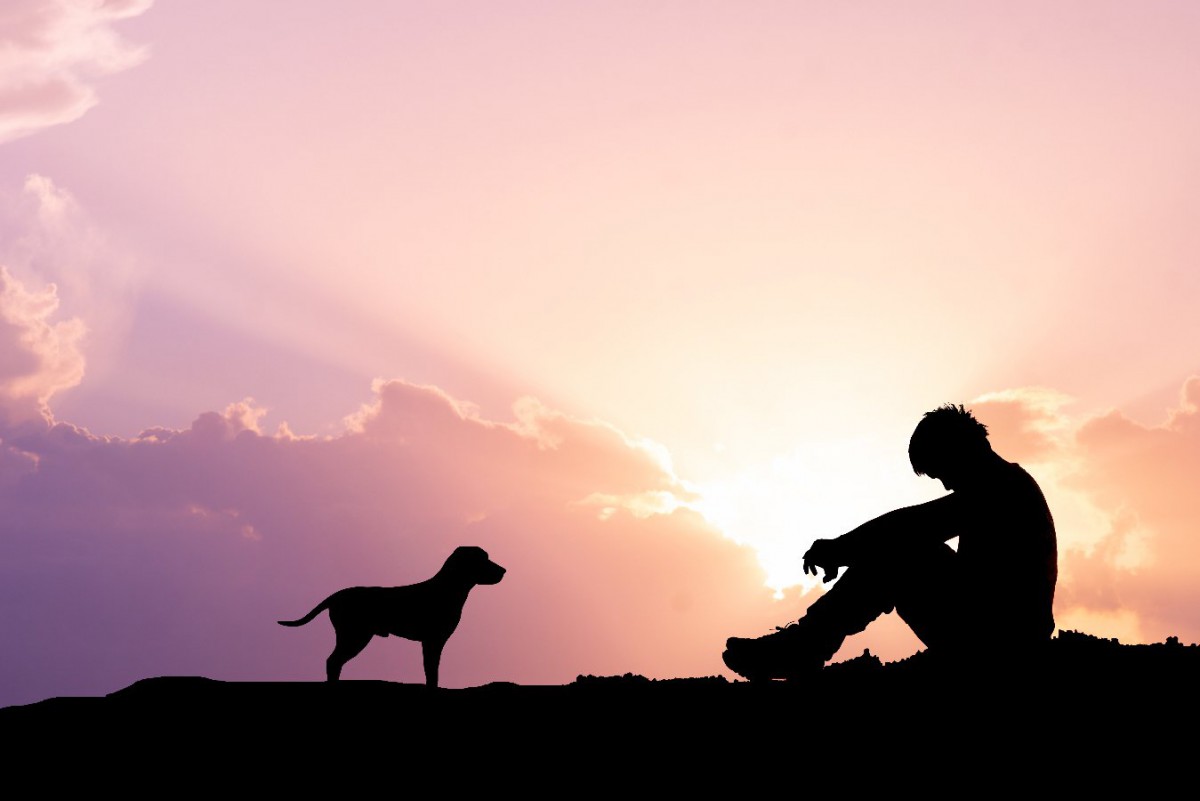 セラピー犬による自閉症スペクトラムやダウン症の子どもへの生理学的影響