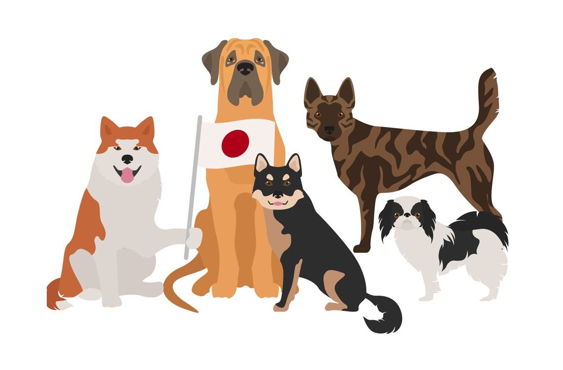 日本犬は全部で6種類！それぞれの性格や特徴について解説