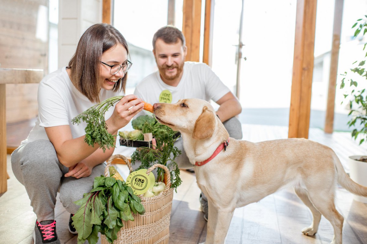 犬に絶対NGな『野菜の食べさせ方』3選！与える食材や量、コツまで解説
