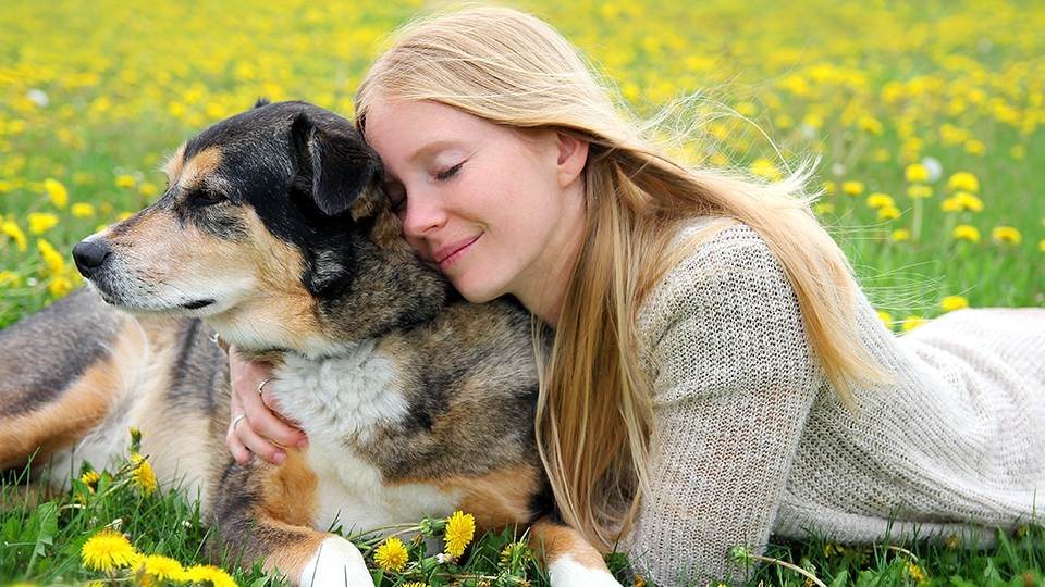愛犬への過保護レベルチェックリスト