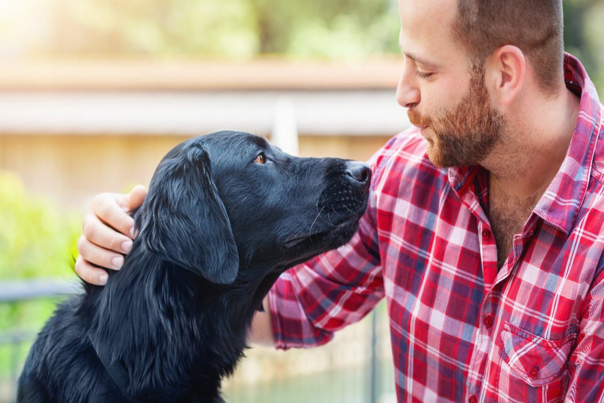 犬が『尊敬している人』にしか見せない5つの仕草や行動とは？絆を深めるために飼い主がすべきこと