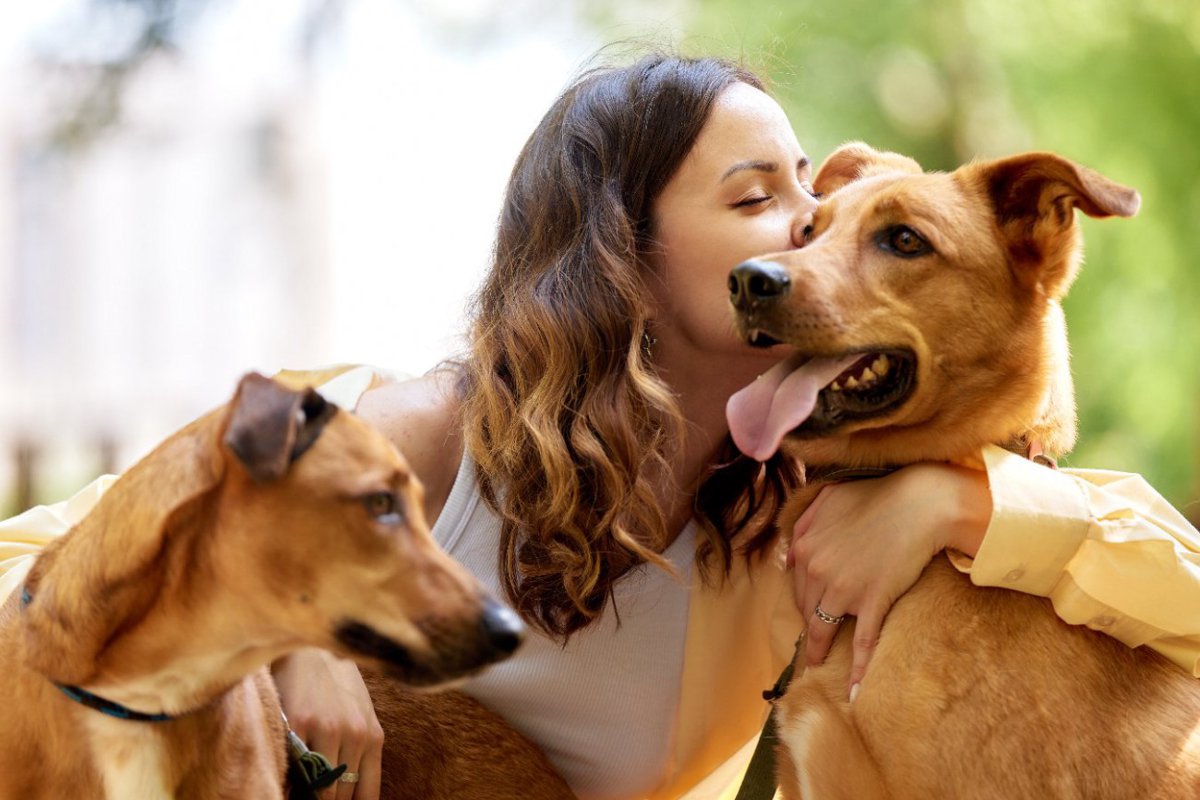 犬との絆をより深める『5つの方法』　信頼を獲得するために必要なコツやスキンシップとは？