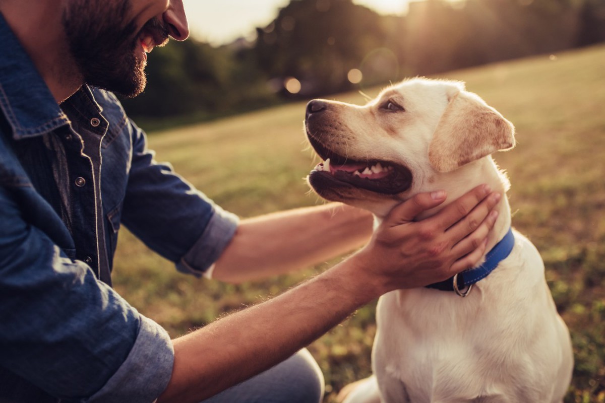 犬の幸福度をアップさせる『5つの方法』 飼い主が意識すべきこととは？