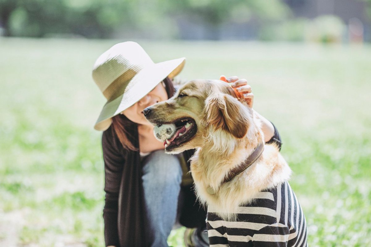 犬を長生きさせる『秘訣』5選　今日から始められる長寿のための生活習慣とは？