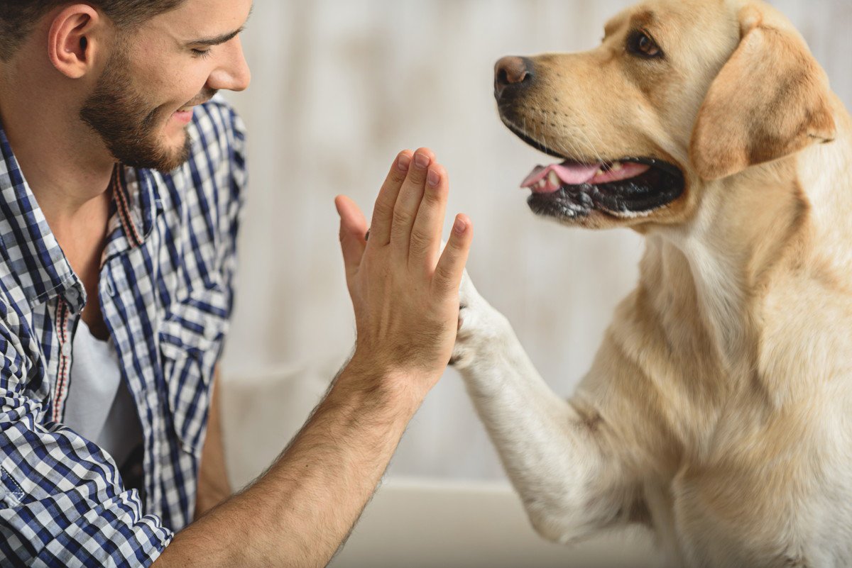 愛犬から尊敬される飼い主の特徴5つ！何を意識して接するのがいいの？