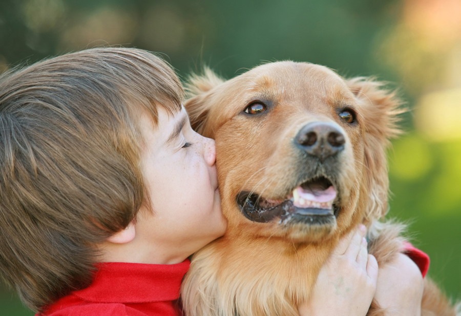 子どもに犬を飼いたいと言われたら考えるべき５つのこと