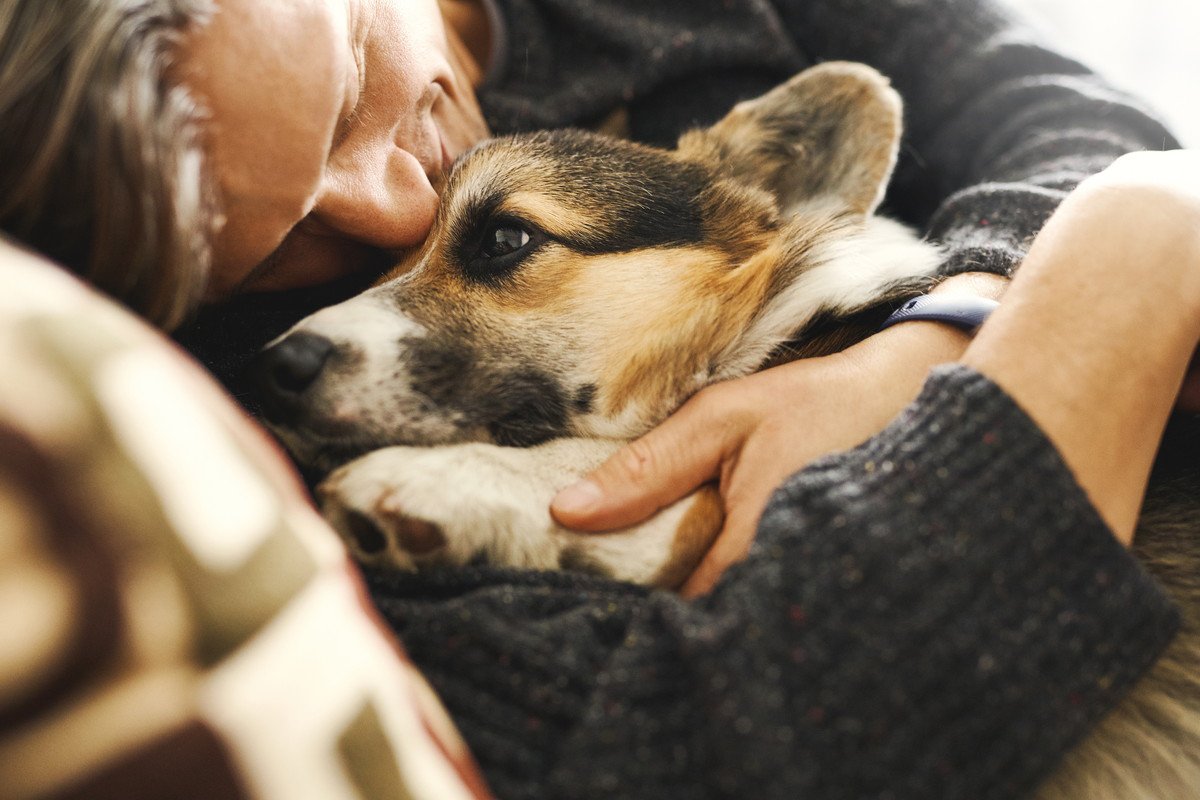 愛犬への『感謝』の伝え方5つ♡ありがとうの気持ちを上手く伝える方法とは