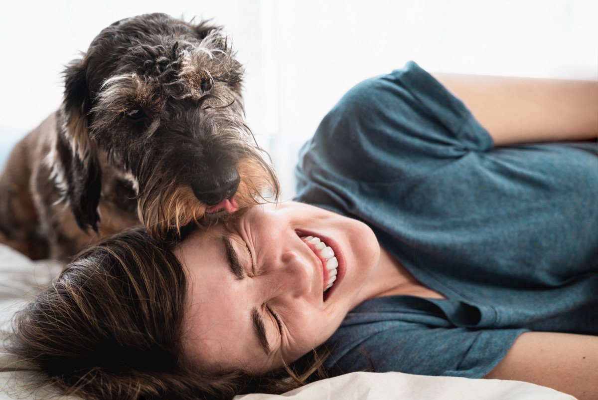 犬が『飼い主からの愛情が欲しい時』にする行動5選　しっかり気持ちを伝えるためにすべきこと