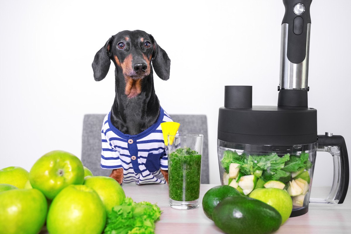 犬に『野菜ジュース』ってあげても大丈夫なの？