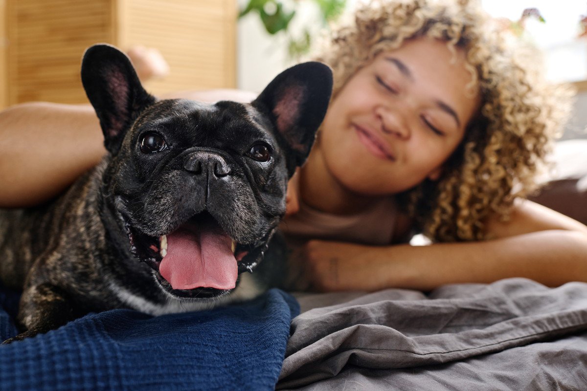 愛犬が『一緒に寝たい！』と言っている時のサイン3選　犬と一緒に寝るのって大丈夫なの？