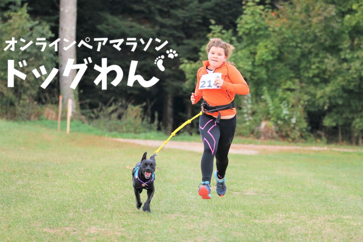 ドッグわん『愛犬と一緒に走るオンラインペアマラソン』