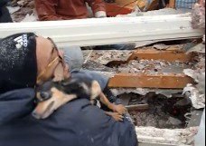 竜巻で家屋が全壊。瓦礫の中に40時間取り残された犬を元気な状態で保護！