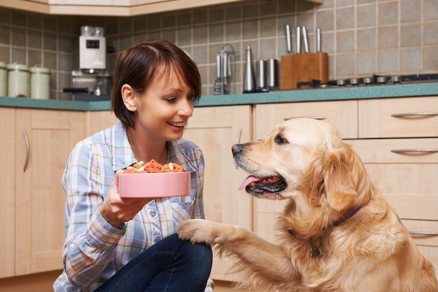 犬がご飯の時によくする行動５選
