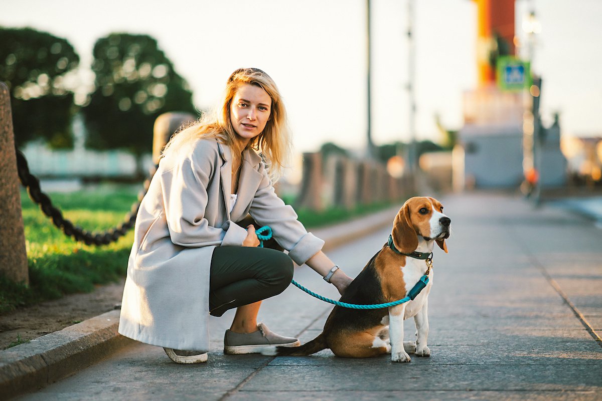 初めて犬を飼った人がやりがちな『散歩での絶対NGマナー』３選