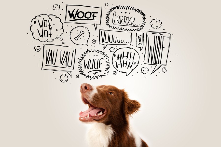 2045年には犬が人間の言葉を話し始めるかも！という研究