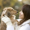 人とコミュニケーションできる犬に育て上げる5つの方法