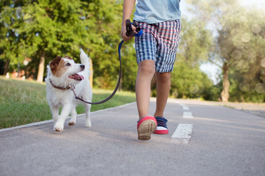 犬の散歩を子供だけにさせる時の注意点３つ