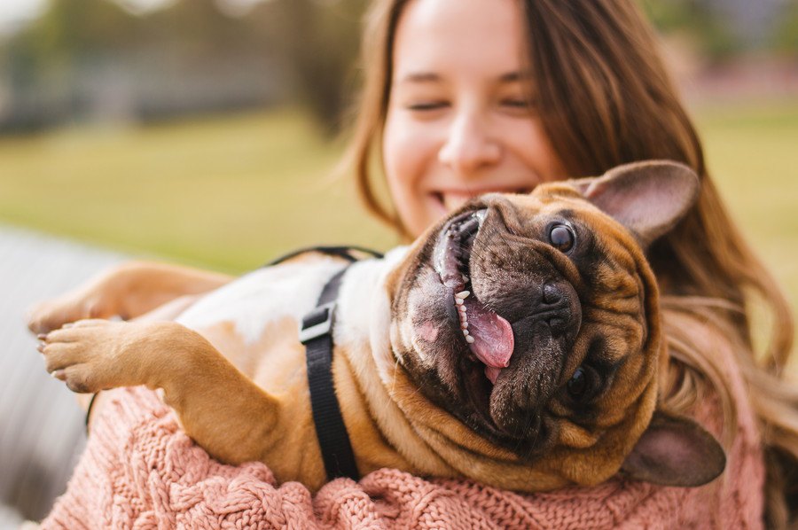 犬はなぜ飼い主に会えると大興奮するの？４つの心理と気を付けるべきこと