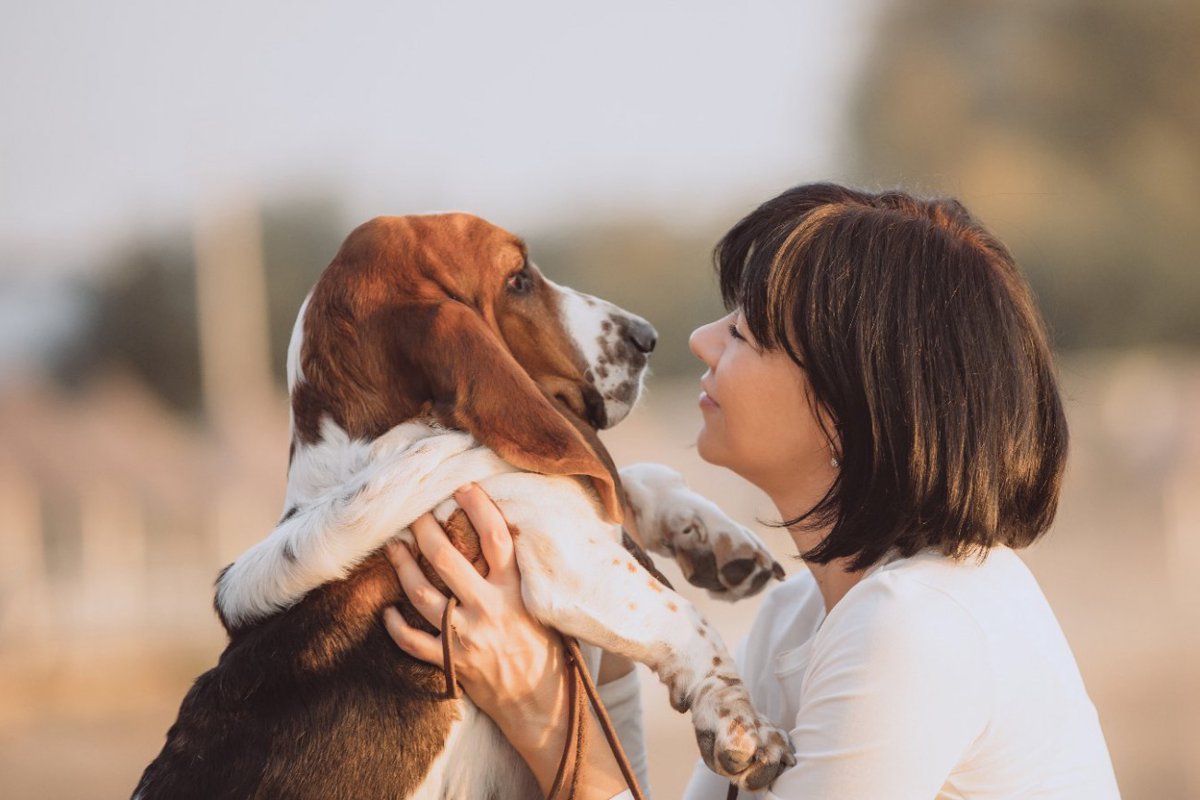 犬を抱っこする時にしてはいけないNG行為5選　絶対にすべきではないやり方も…どんなリスクがあるの？