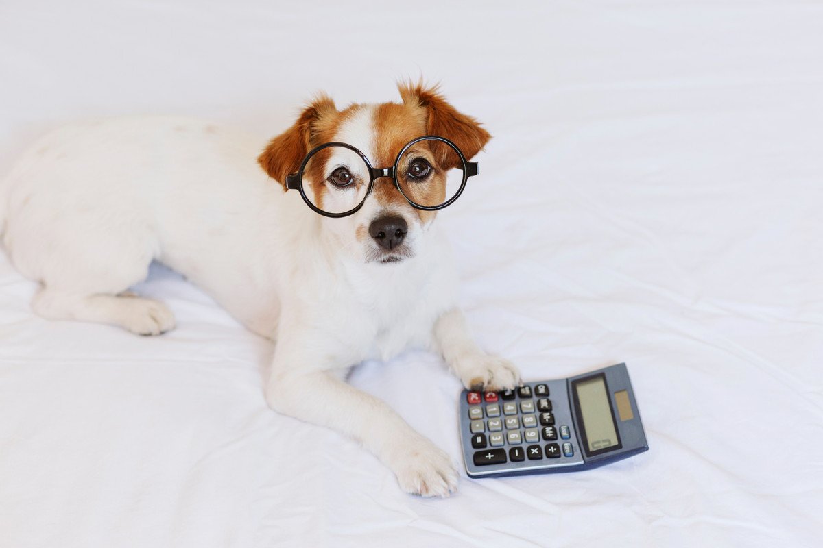 大型犬の『生涯費用』4選！愛犬の一生にかかるお金を各費用ごとに解説