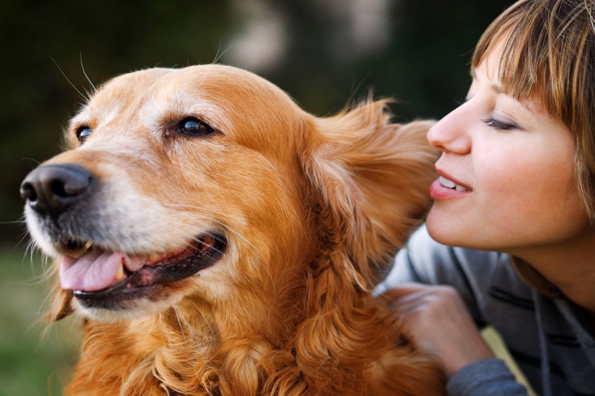 犬は話しかけると寿命が延びる？たくさん声をかける5つのメリットや幸福度が上がるスキンシップとは
