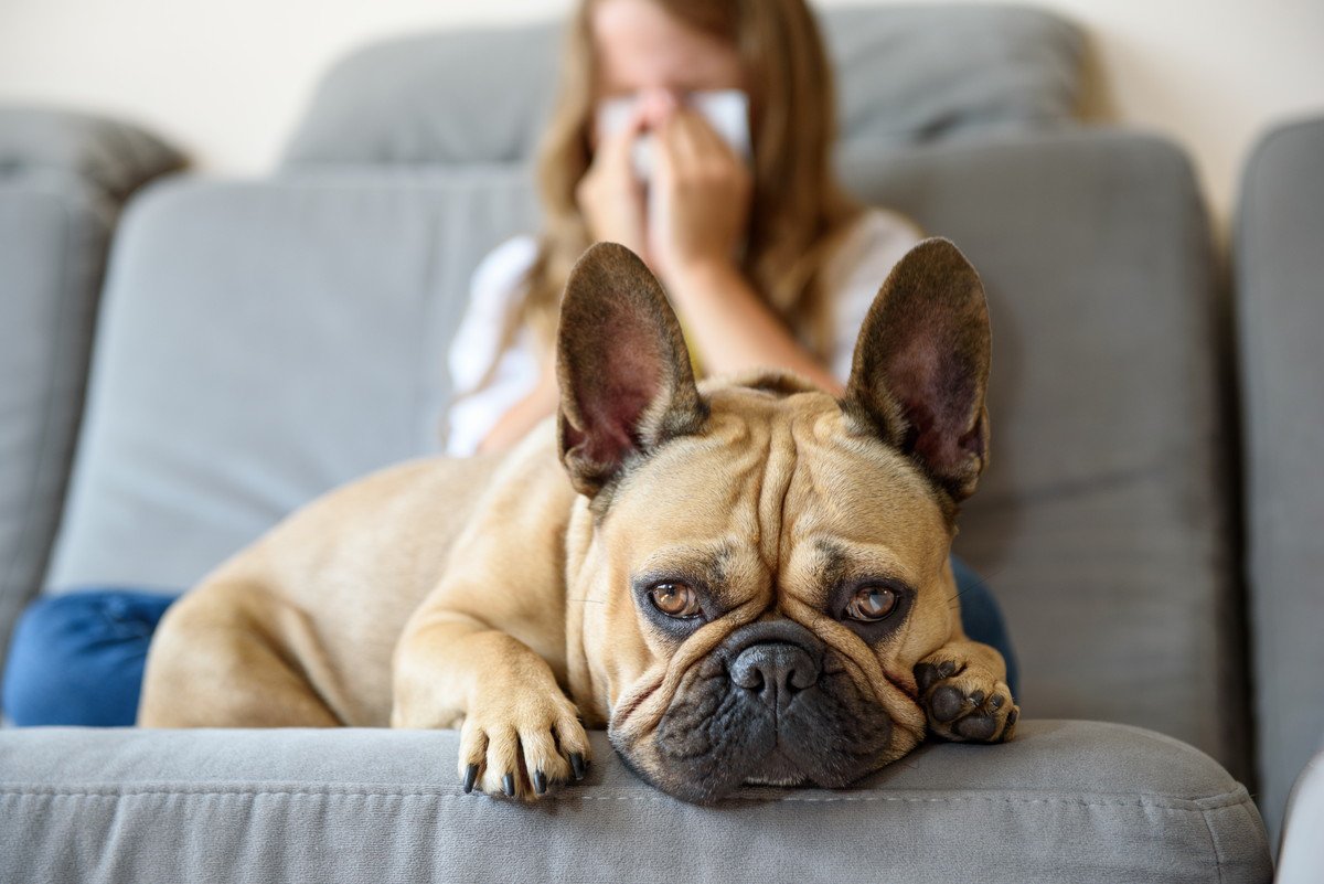 愛犬が臭い…！体臭の原因となる3つの要因と毎日すべきケアまで解説