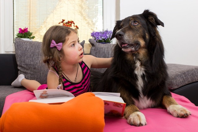 子どもの音読能力を引き上げる犬たち、その科学的検証