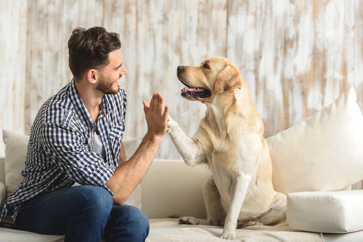 犬がもっと幸せになる『暮らしのヒント』3つ！充実した犬生を送ってもらうために意識すべきこと