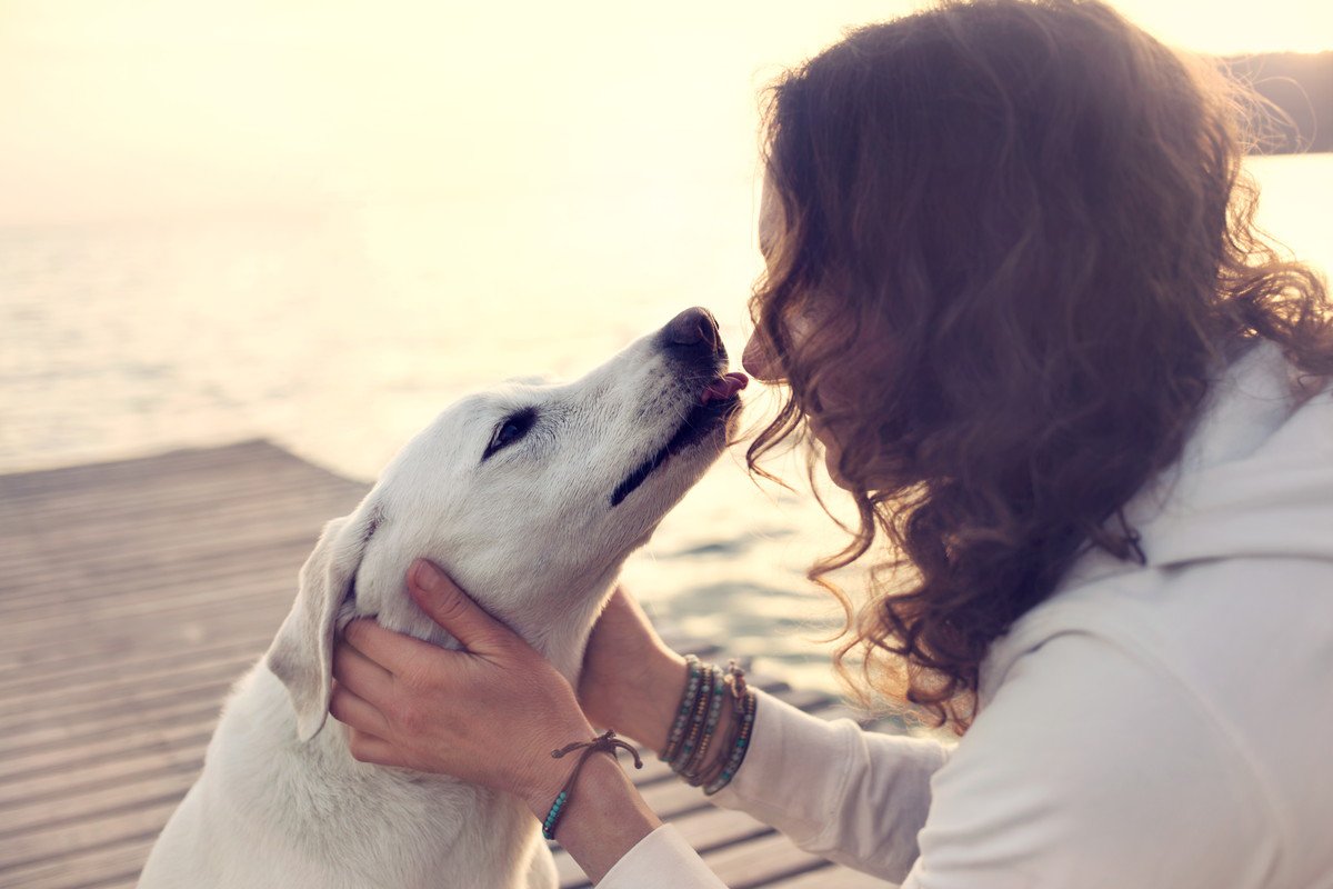 犬が飼い主を『心配しているとき』のサイン4選　無償の愛を感じる行動に「唯一無二の味方」「もっと泣いちゃうかも」