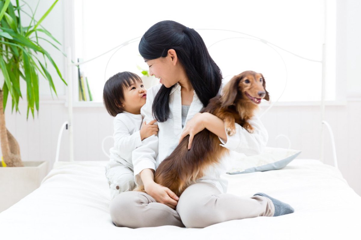 犬に使える『赤ちゃん用品』5選！意外な方法で使う活用方法を解説