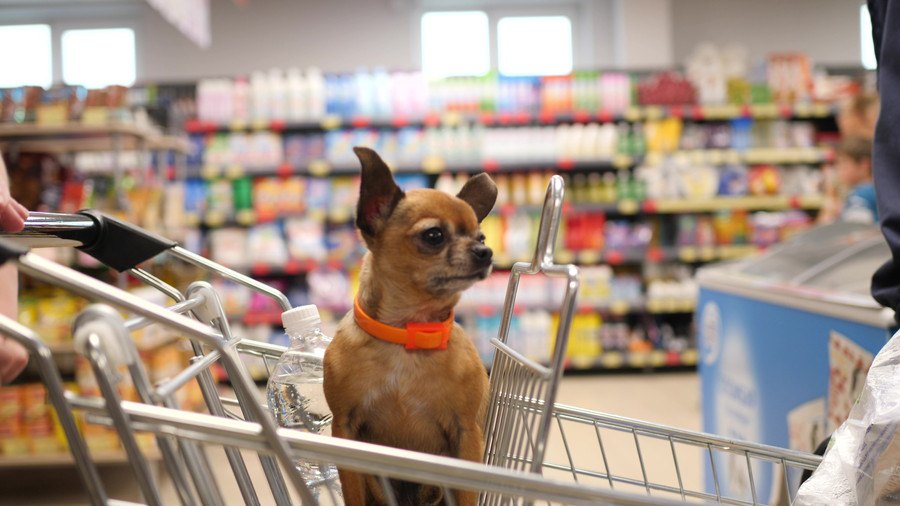 『犬OKのショッピングモール』で飼い主が必ず守るべき３つのこと