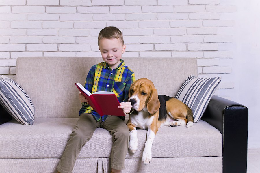 犬と一緒にいることが子供の読書へのやる気を起こさせるという研究結果