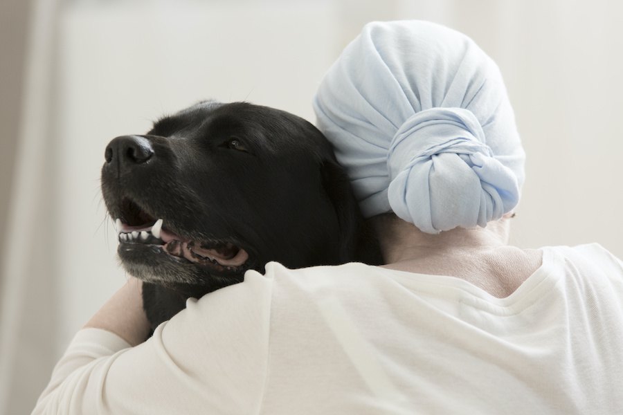 脳腫瘍の治療法開発に犬が手掛かりとなる可能性