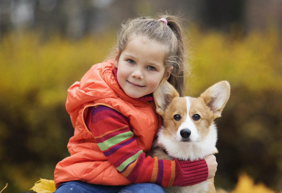 犬と子供が良い関係であるために必要なこと５つ
