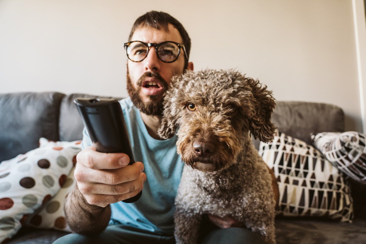 犬はテレビの内容を理解してるの？興味を示している時の心理とは？