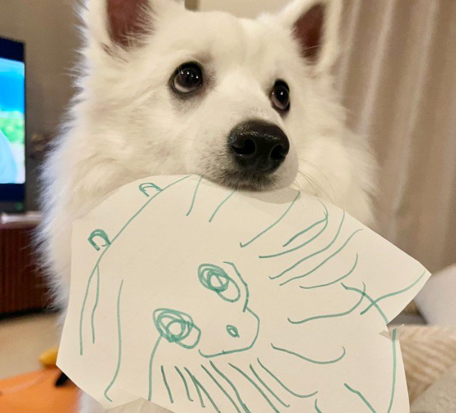 『4歳の息子に似顔絵を描いてもらった犬』嬉しそうな姿が4.4万いいねを集める！絵の才能にも絶賛の声