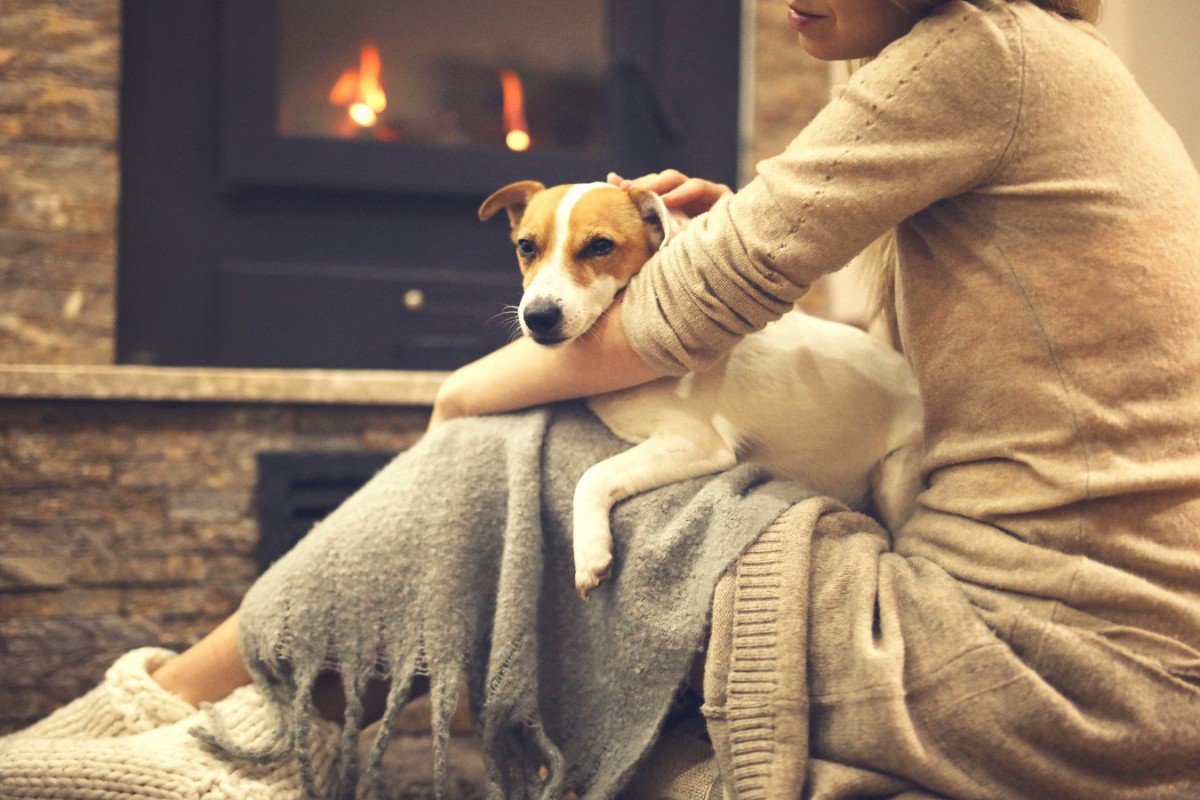 愛犬と『冬』を快適に過ごすためのポイント4つ