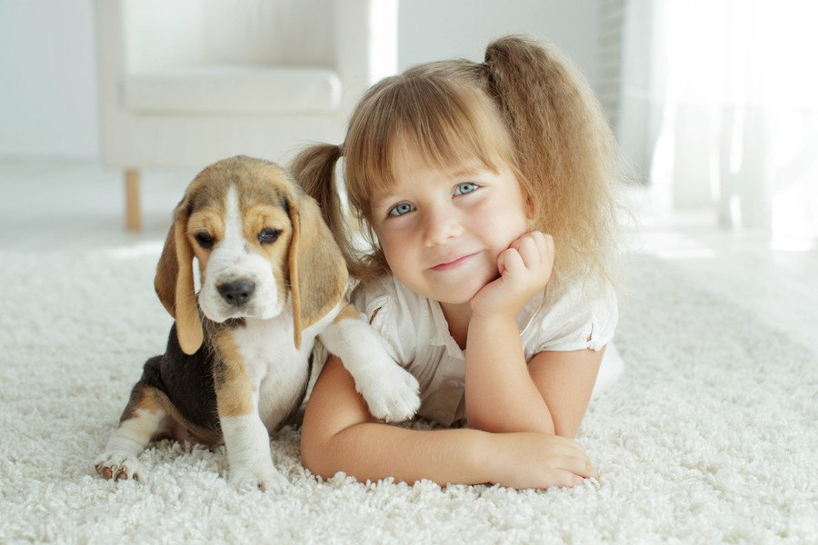 子どものいる家庭で犬を飼うときの絶対NG行為４つ