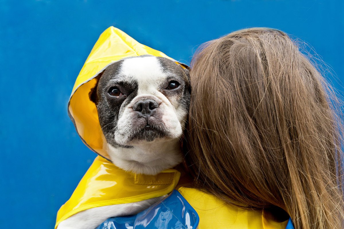『雨の日のお散歩』を愛犬が嫌がる…！5つの理由と飼い主にできる対処法までを解説