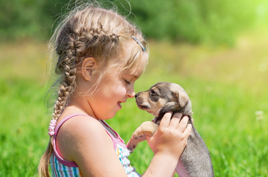 犬と子供が仲良しでいるために ペットを飼うなら気をつける4つのこと