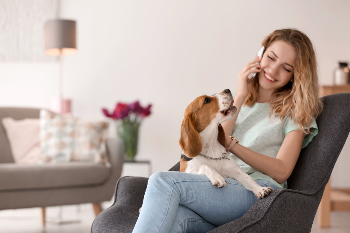 犬が飼い主の電話中に吠えてしまう…4つの心理と止めさせる方法
