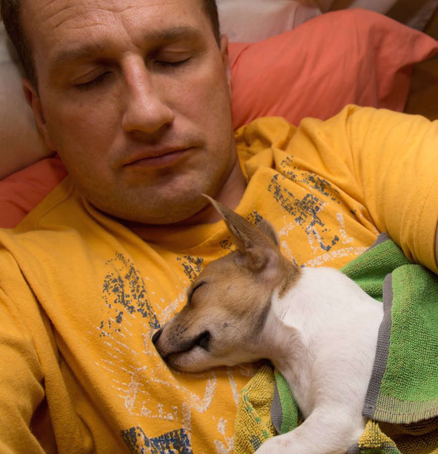 犬との睡眠が慢性的な痛みを持つ人を助ける可能性【研究結果】