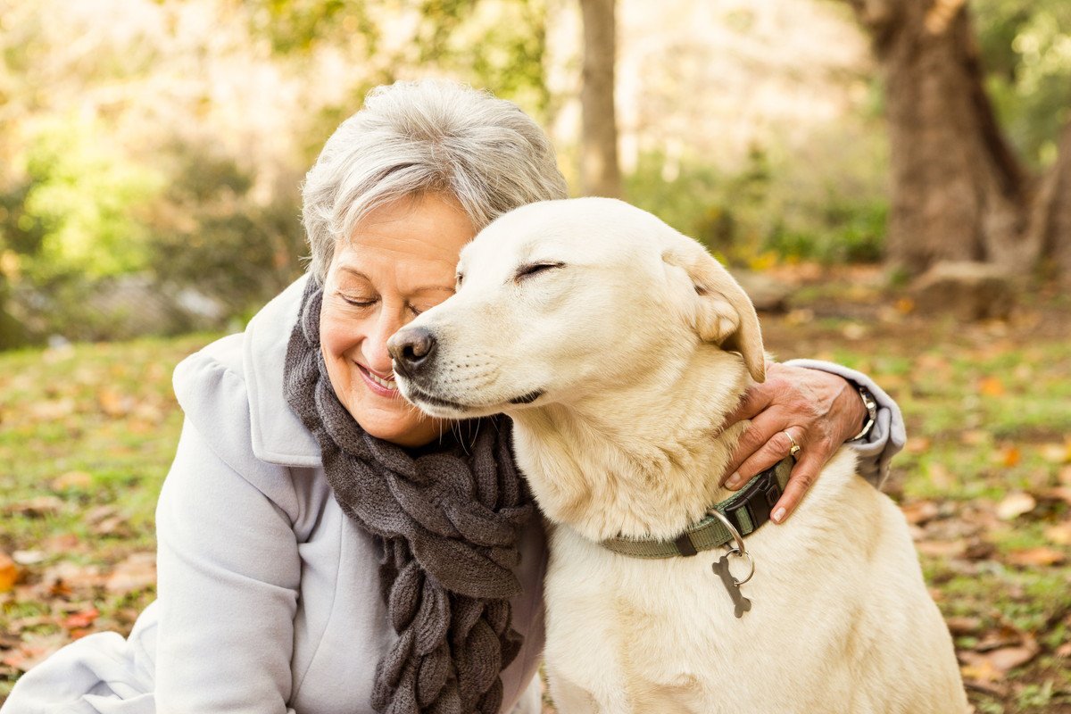 『犬の飼い主が高齢化』未来のためにすべきことは？備えるべき5つのこと